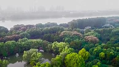 航拍南京江边风景绿色视频的预览图